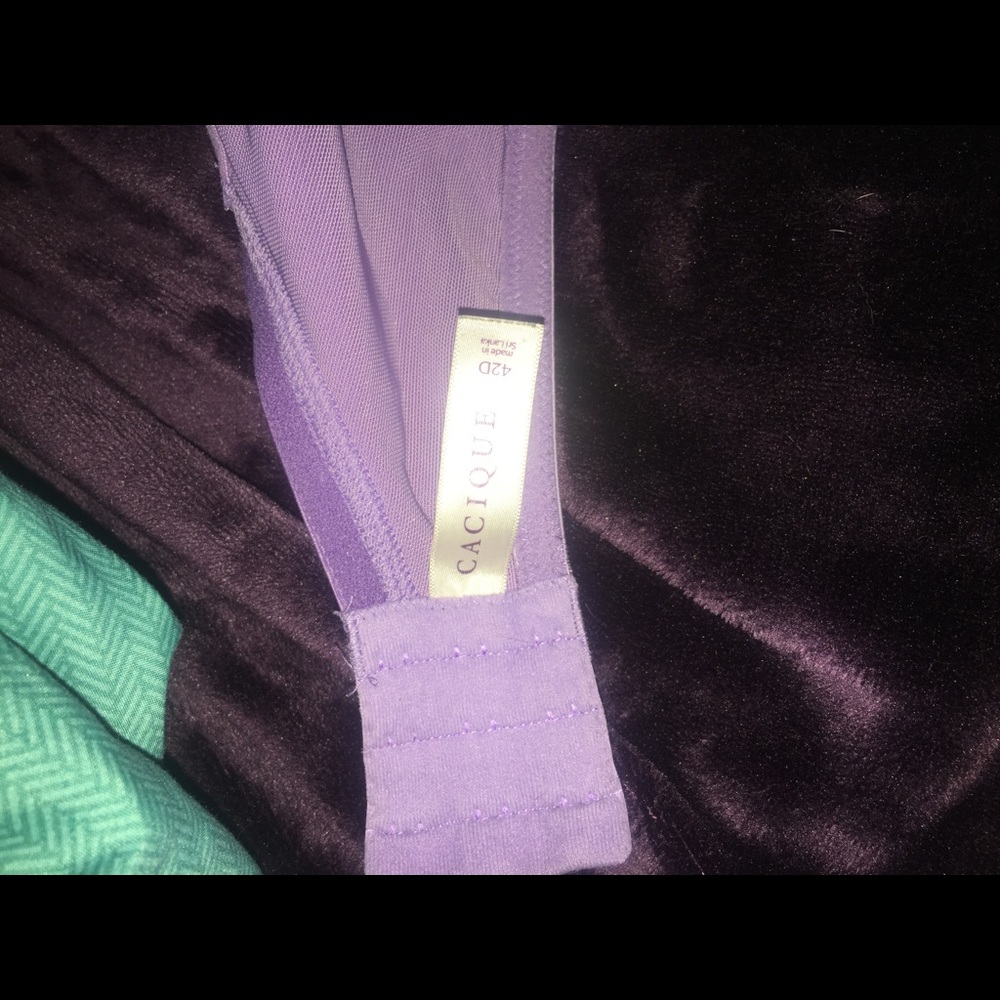 Bra! - Picture 3 of 3
